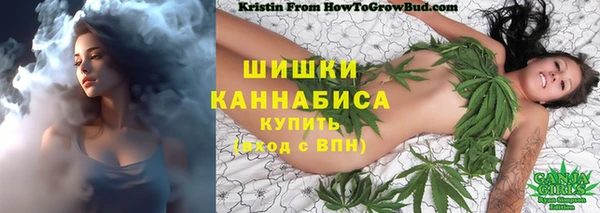 spice Абинск