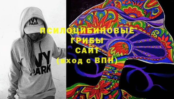 spice Абинск