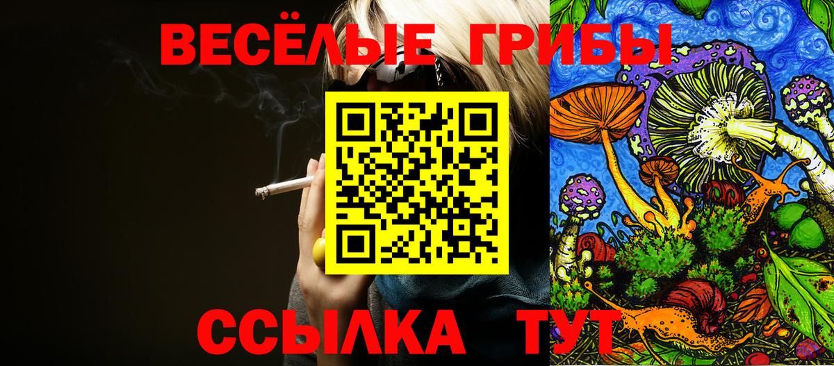 Галлюциногенные грибы Psilocybe Нижневартовск
